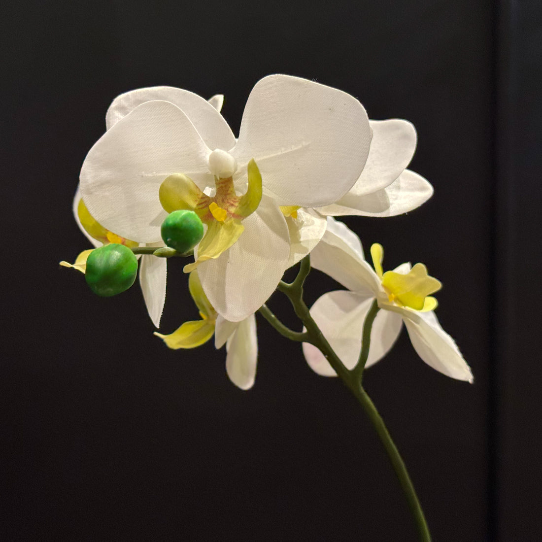 MACETA ORQUIDEA 3D CREMA VDE