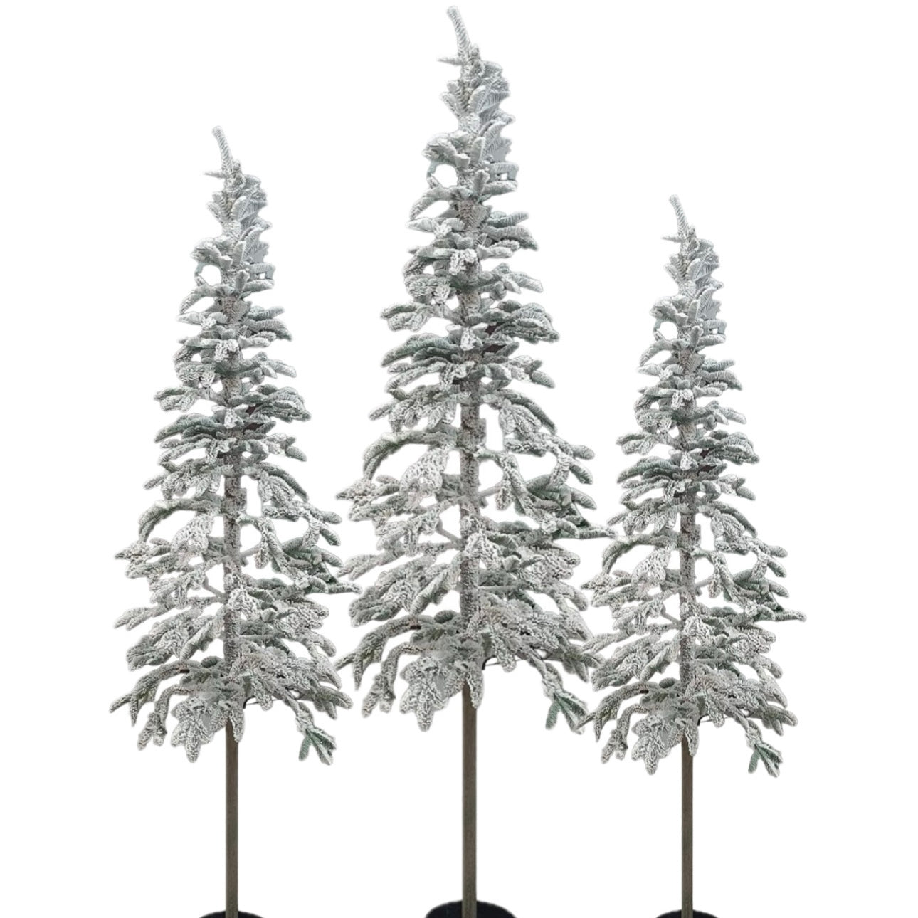ARBOL BIRCHWOOD CON LUZ