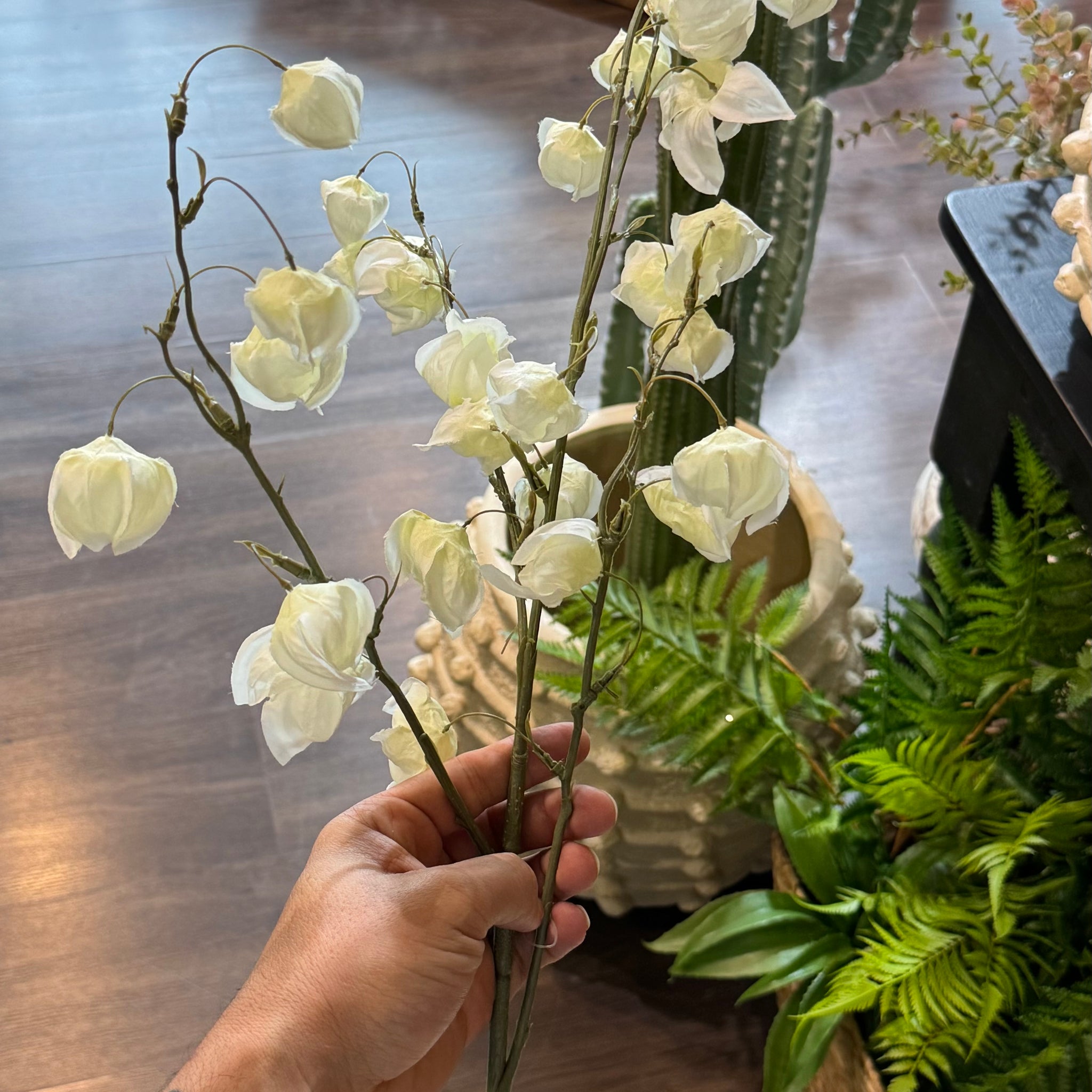 Enkianthus