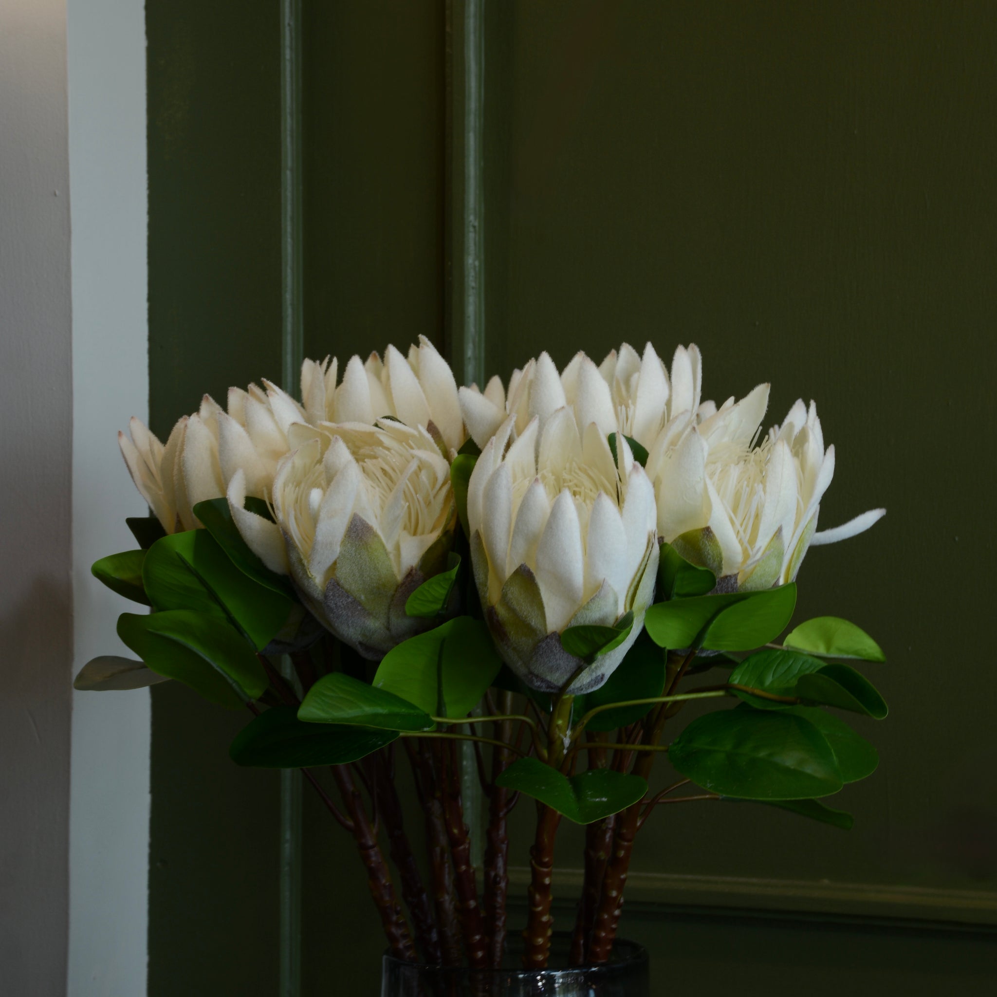 PROTEA REY BLANCA