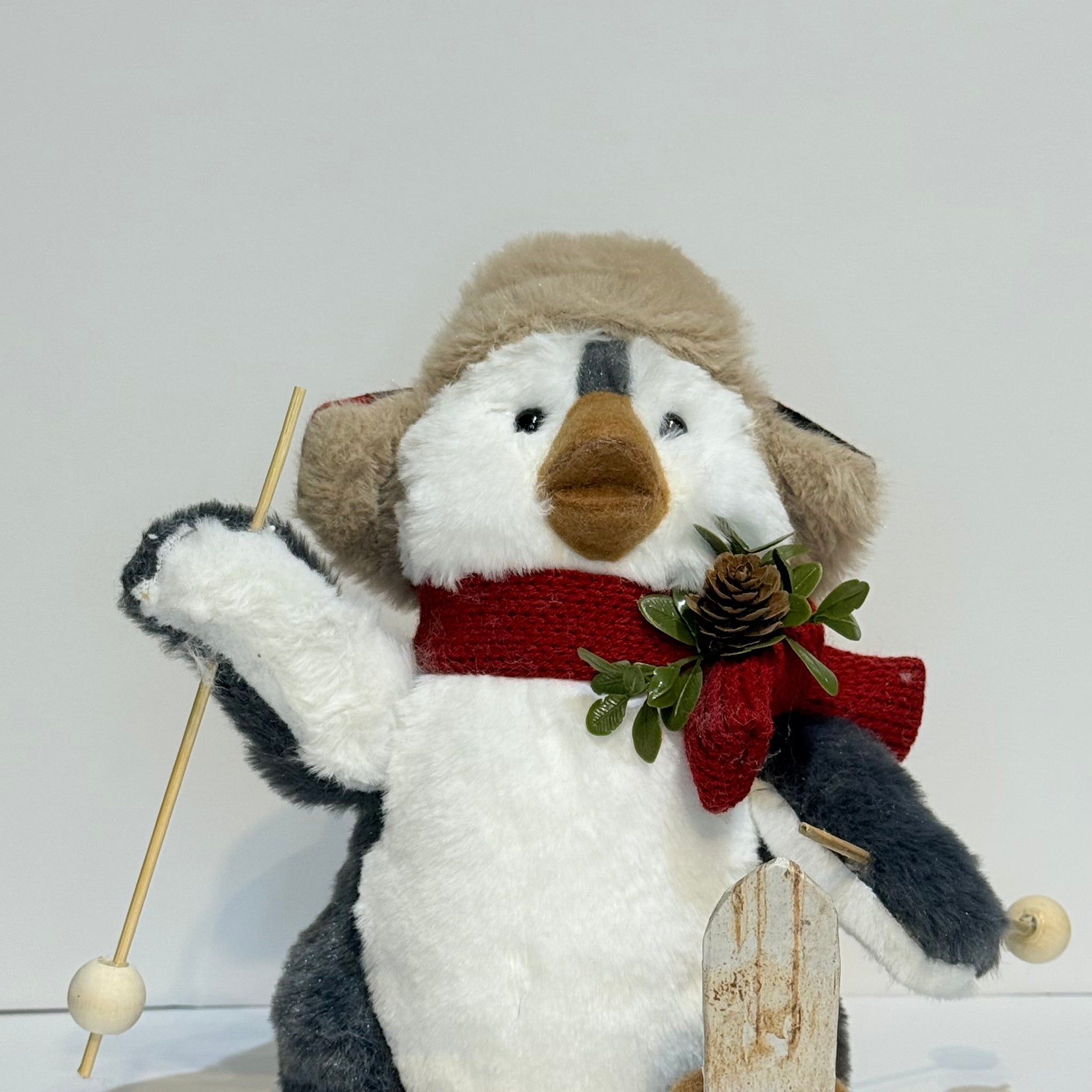 Pingüino esquiador