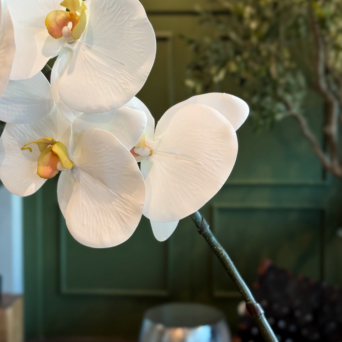VARA DE ORQUIDEA BLANCO