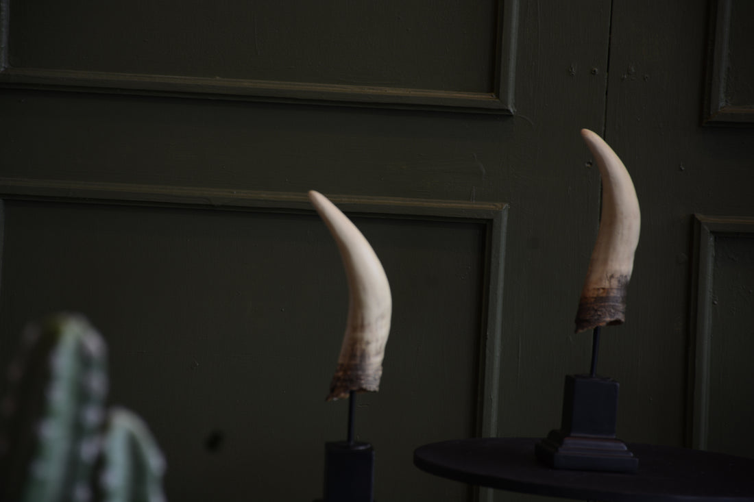 ESCULTURA CUERNO