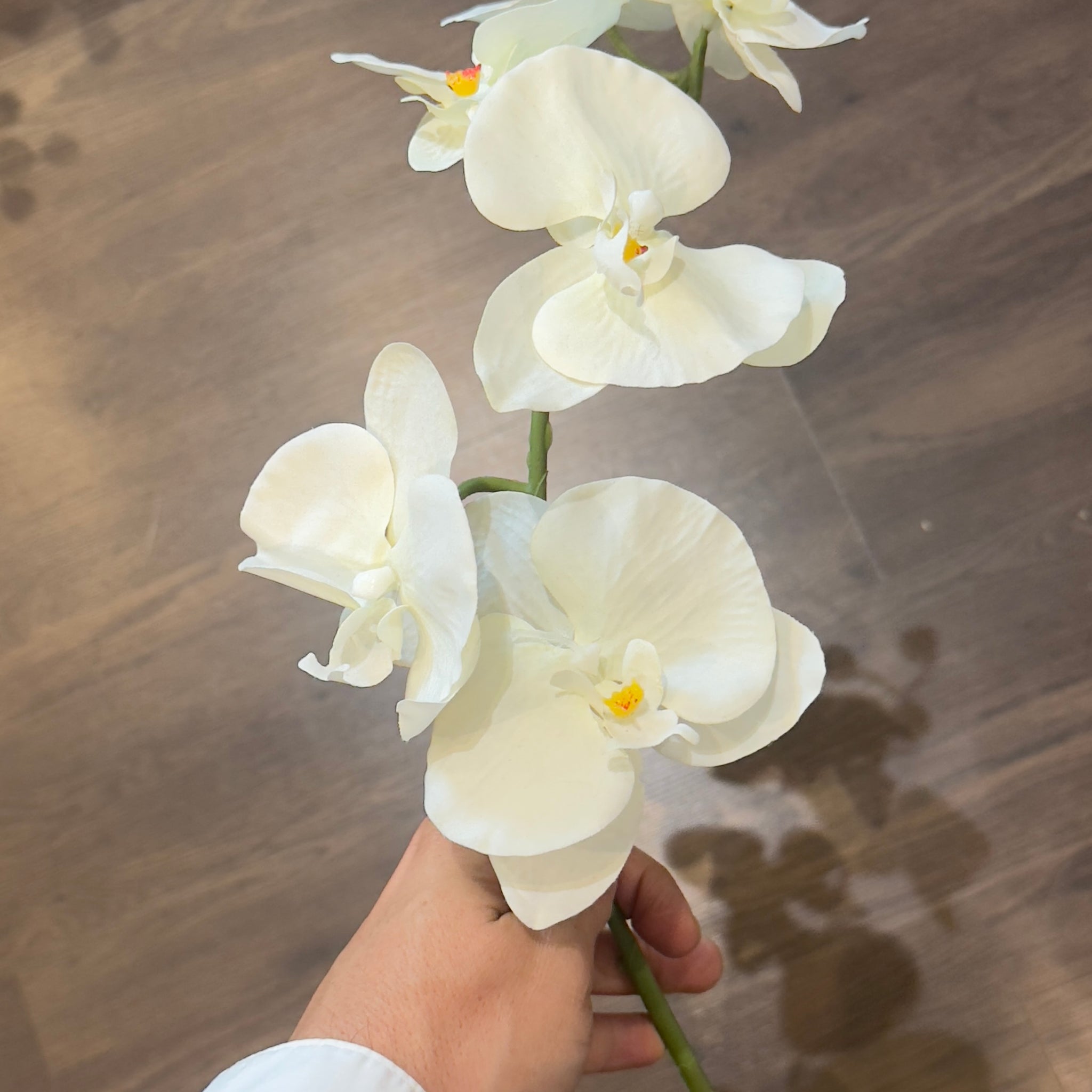 VARA DE ORQUÍDEAS MEDIANA