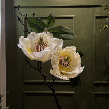 VARA DE MAGNOLIA CREMA