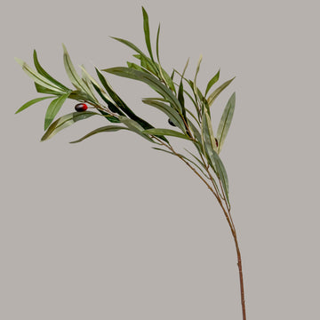 VARA CON OLIVO VERDE