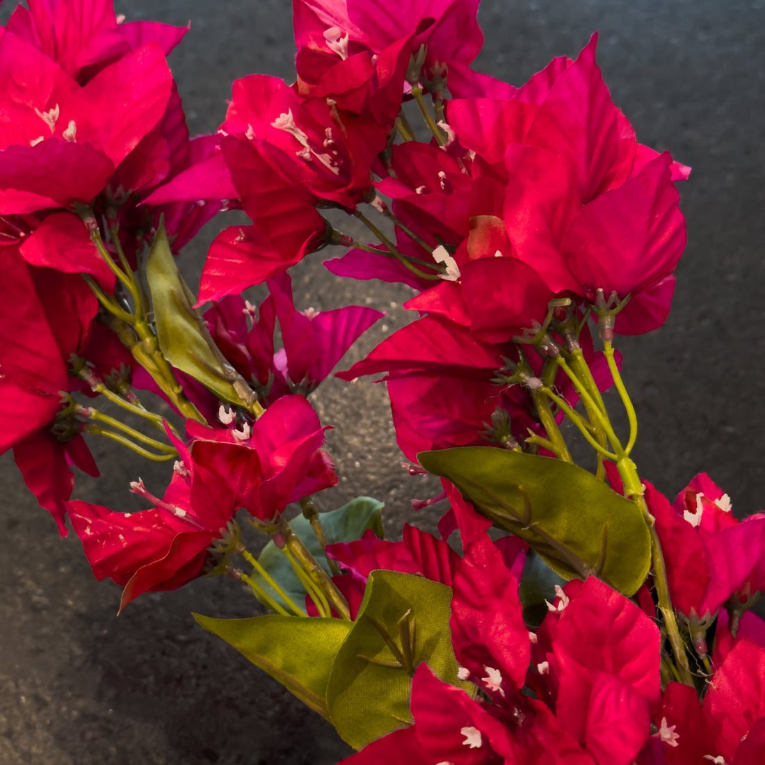 BUGANVILIA FUCSIA