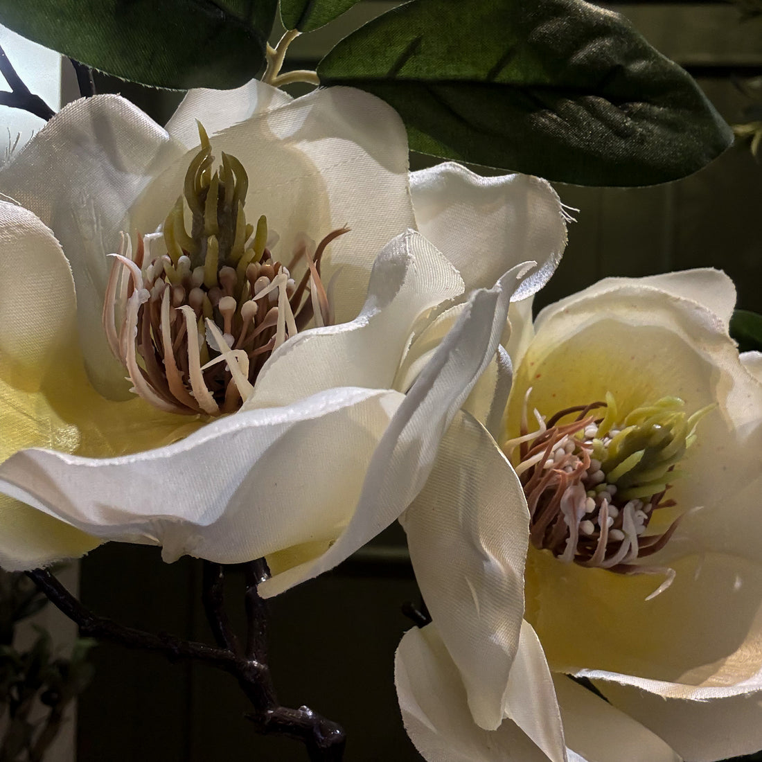 VARA DE MAGNOLIA CREMA