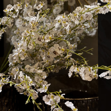 VARA DE ORQUIDEA BLANCO