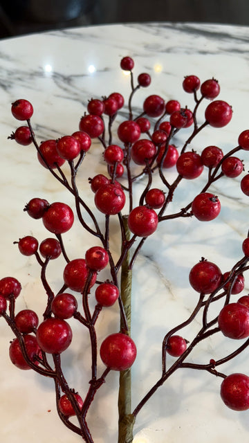 Pick de mini berry