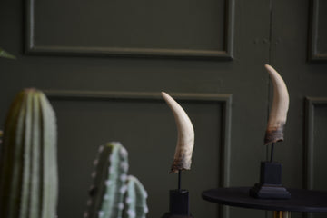 ESCULTURA CUERNO