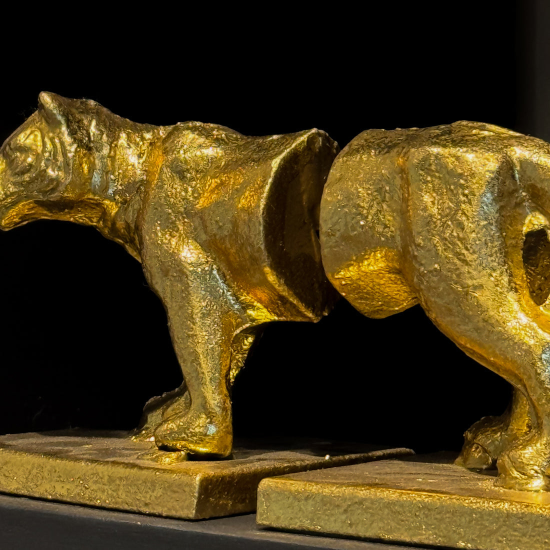 PORTA LIBROS LEOPARDO