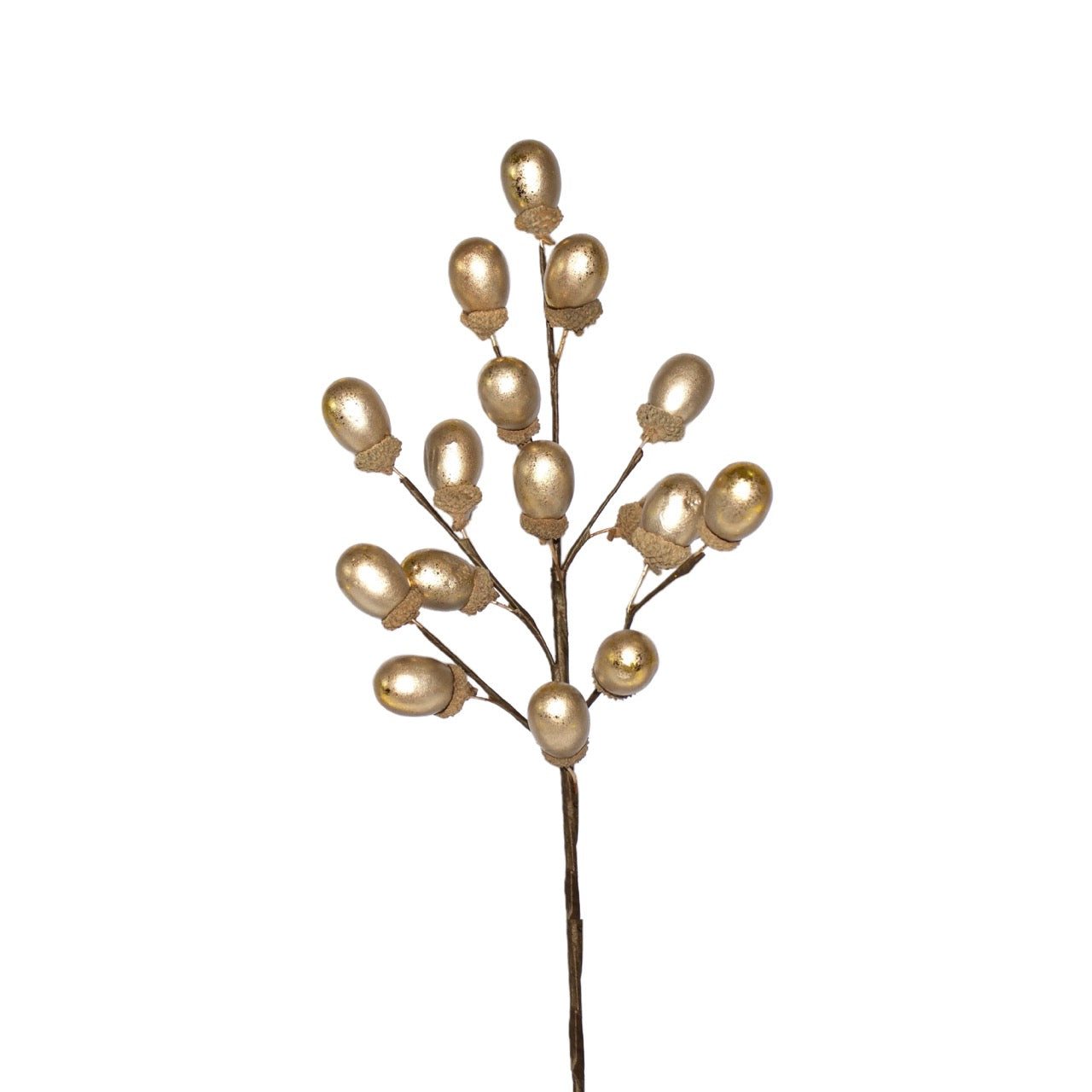 PICK DE BELLOTAS CHAMPAGNE