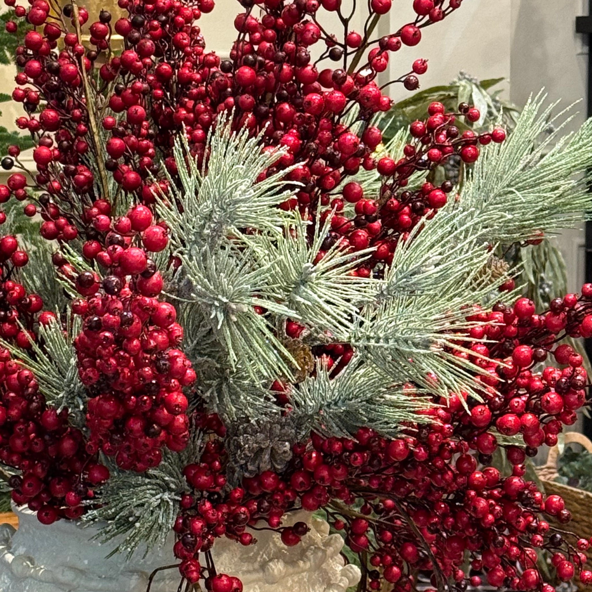 Berry jumbo bicolor 44