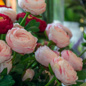 RANUNCULOS ROSA