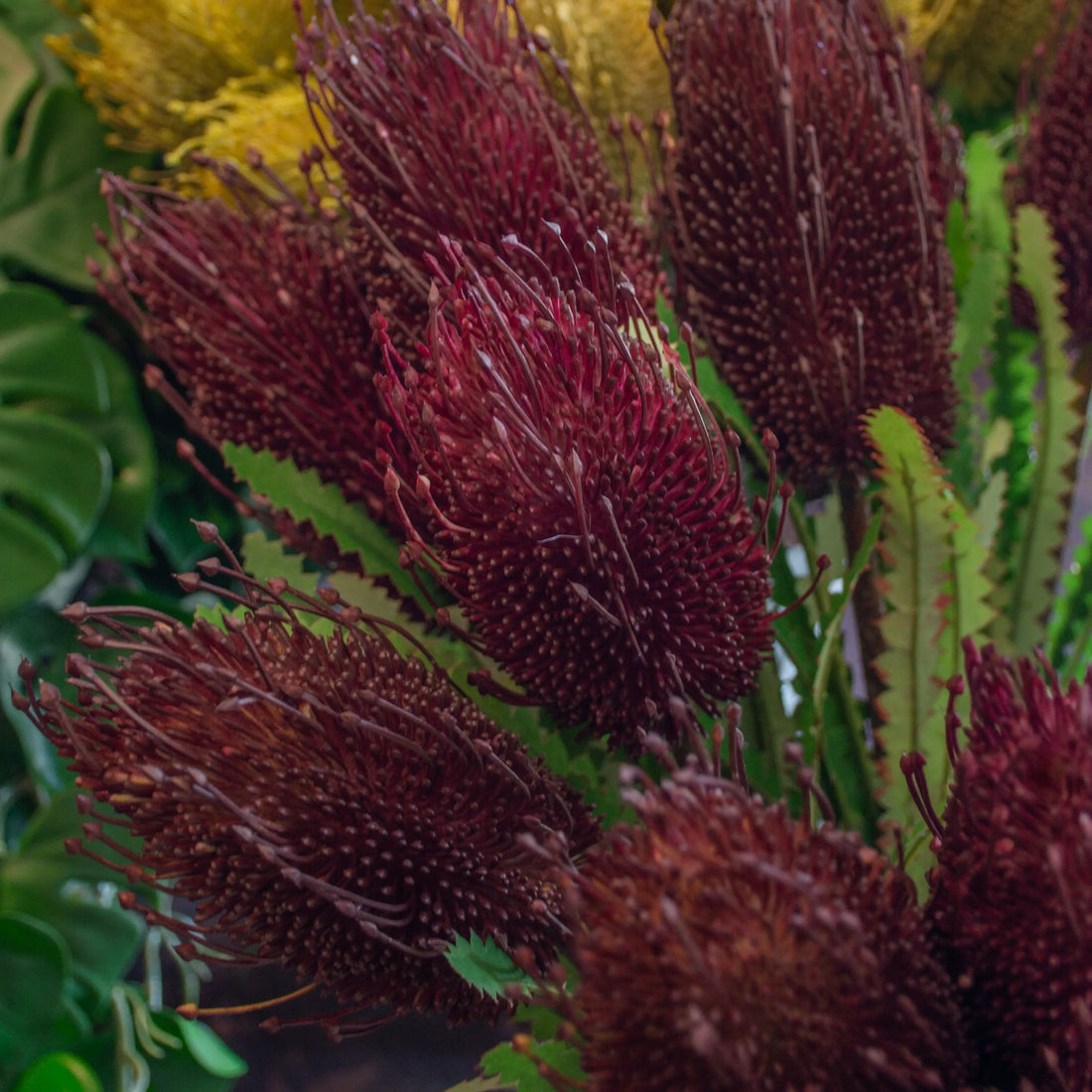 VARA DE FLOR ROJO