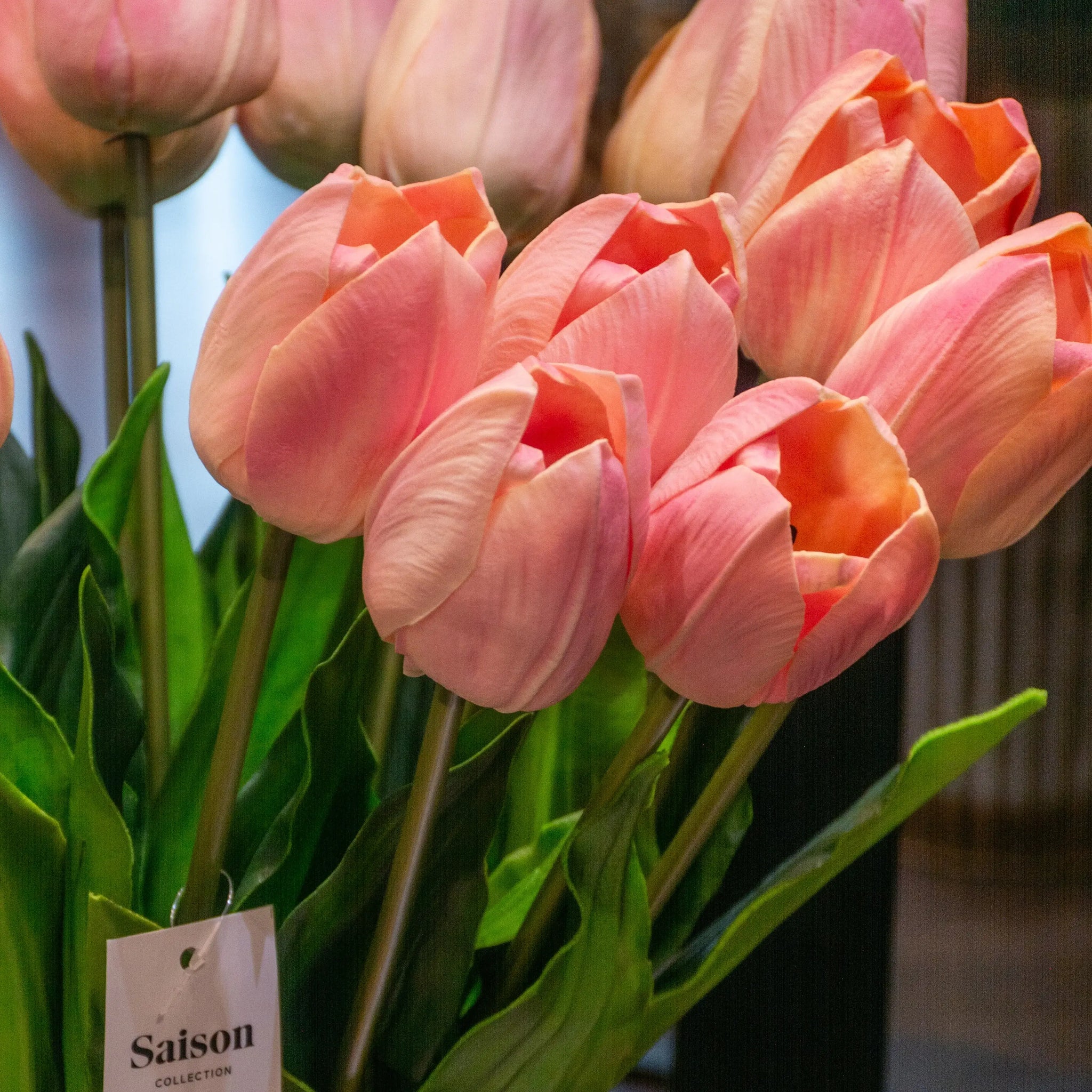 VARA DE TULIPAN CREMA/ROSA