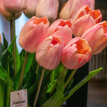 VARA DE TULIPAN CREMA/ROSA