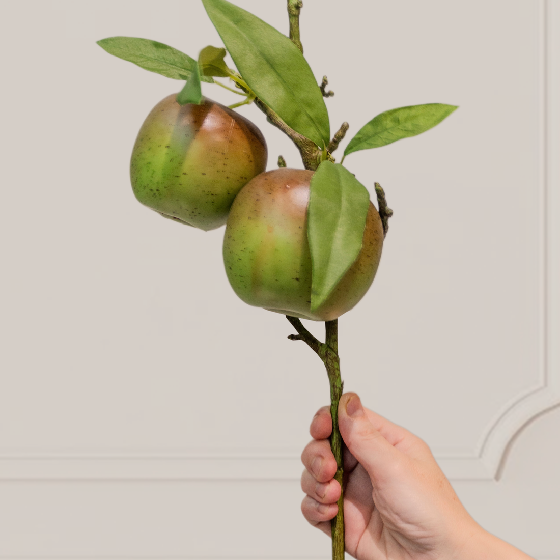 VARA DE MANZANA VERDE
