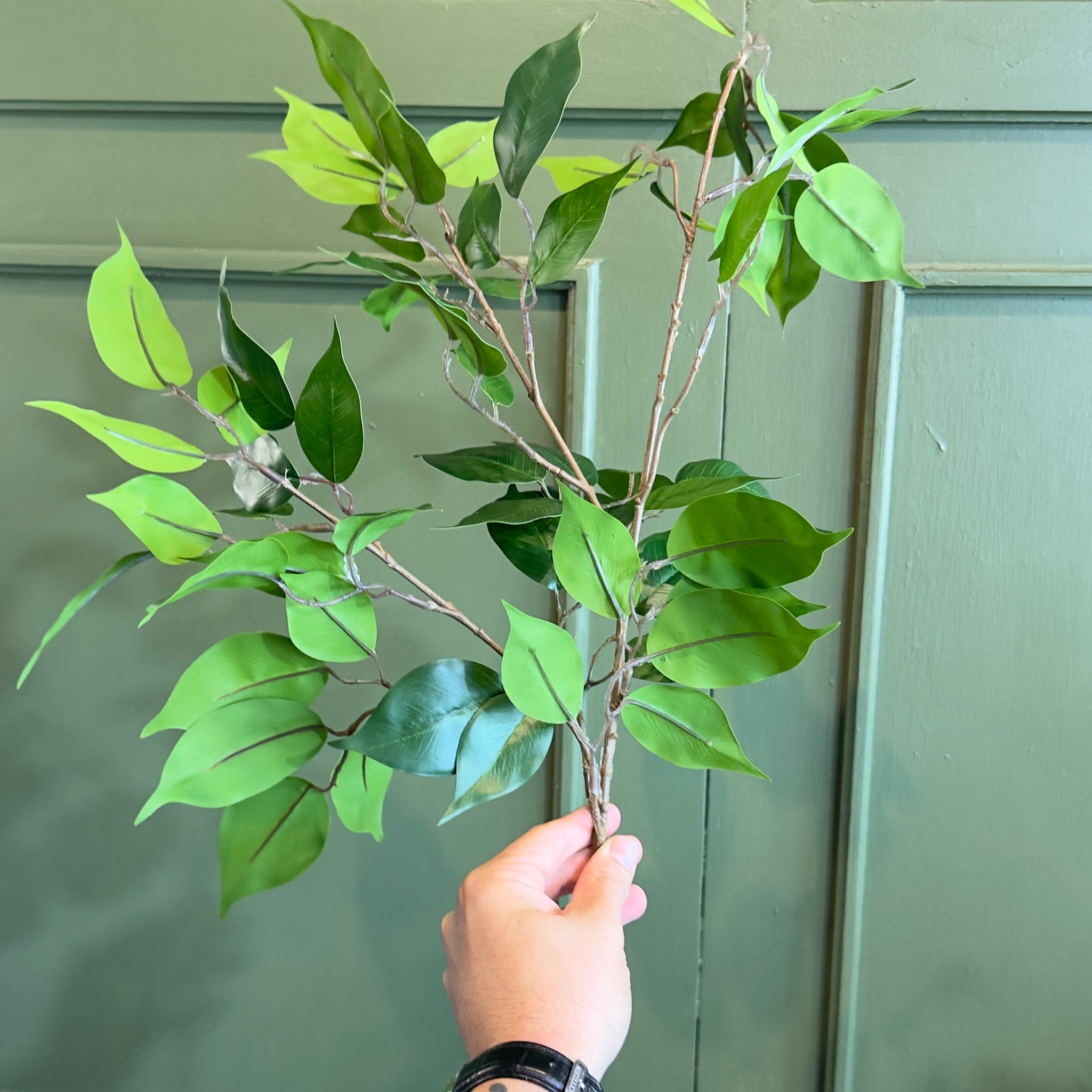 Vara de Hoja verde.