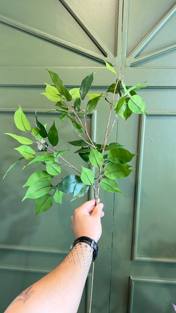 Vara de Hoja verde.