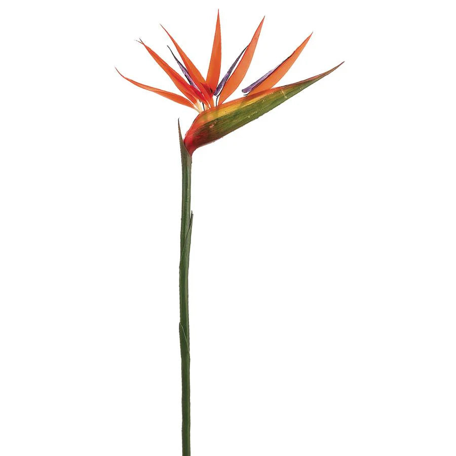 MACETA FLOR AVE DEL PARAÍSO A135