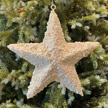 FIG. DE ESTRELLA BLANCO