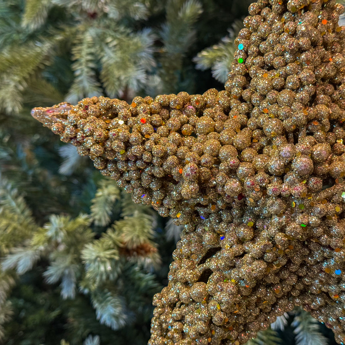 FIG. DE ESTRELLA ORO