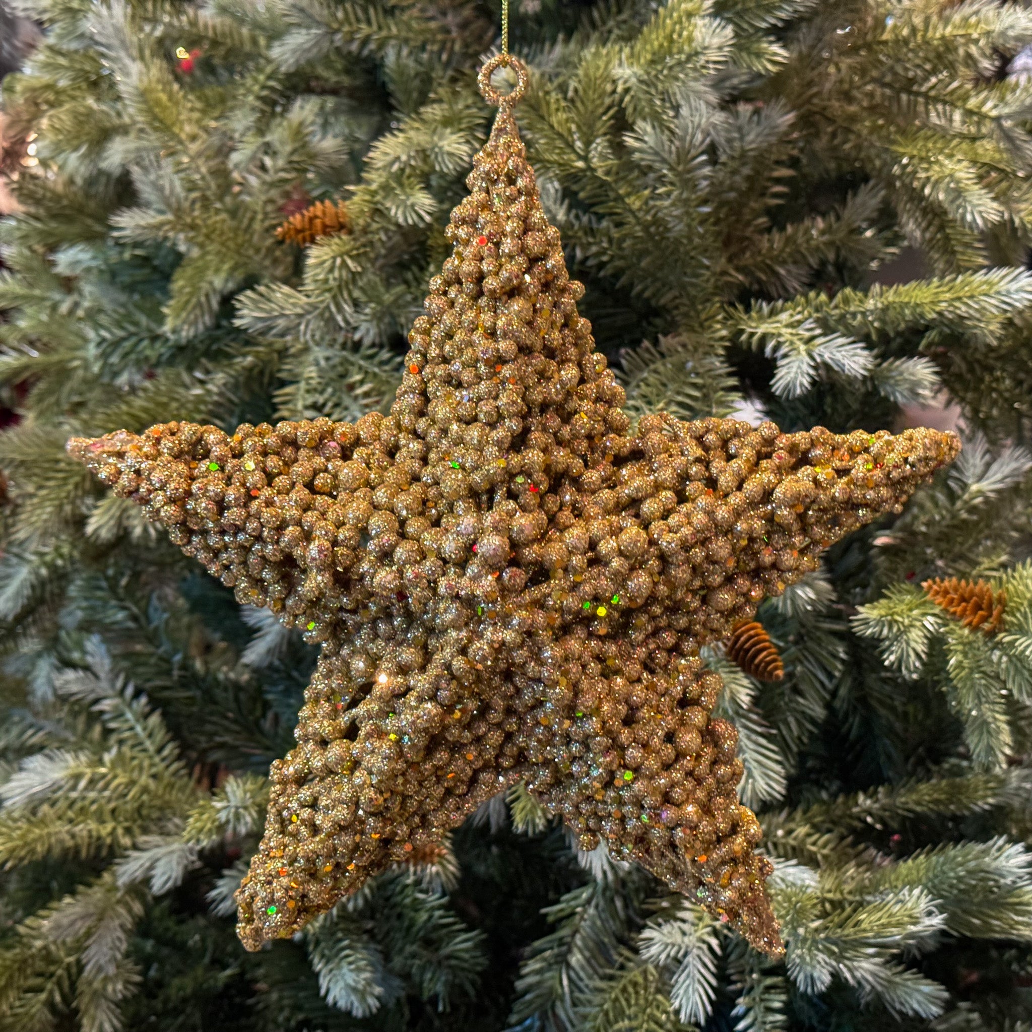 FIG. DE ESTRELLA ORO
