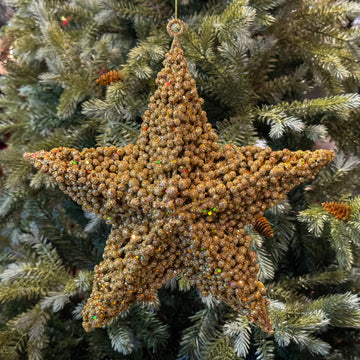 FIG. DE ESTRELLA ORO
