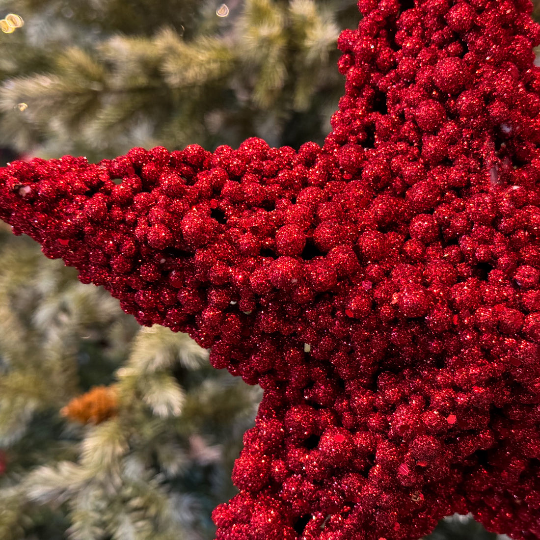 FIG. DE ESTRELLA ROJO