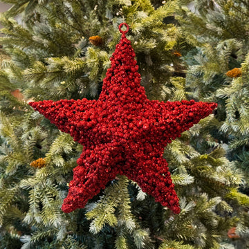 FIG. DE ESTRELLA ROJO