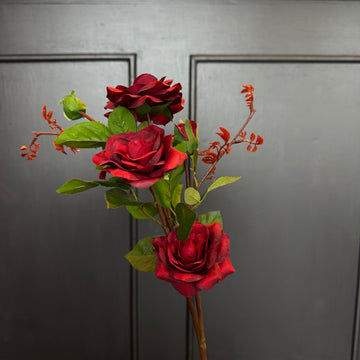 VARA DE ROSA DK. ROJO