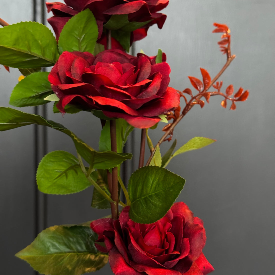 VARA DE ROSA DK. ROJO
