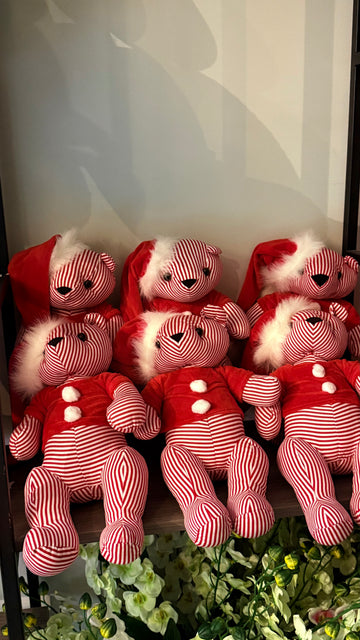 TEDDY CHICO.   45CM