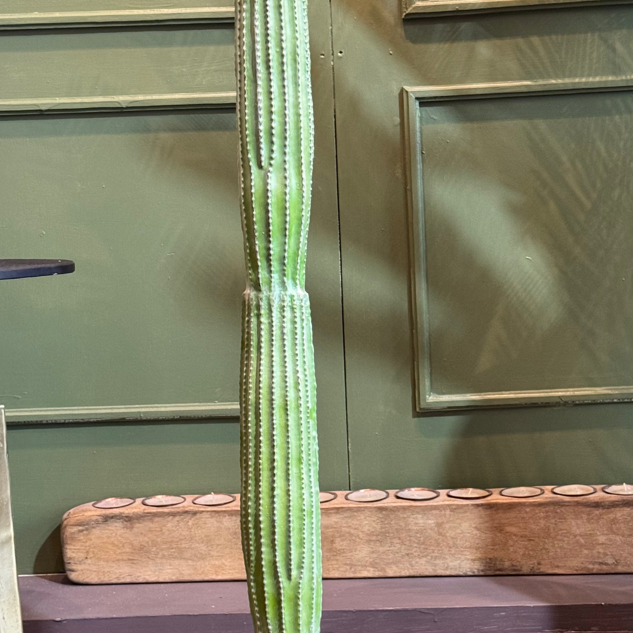 CACTUS ORGANO EN MACETA