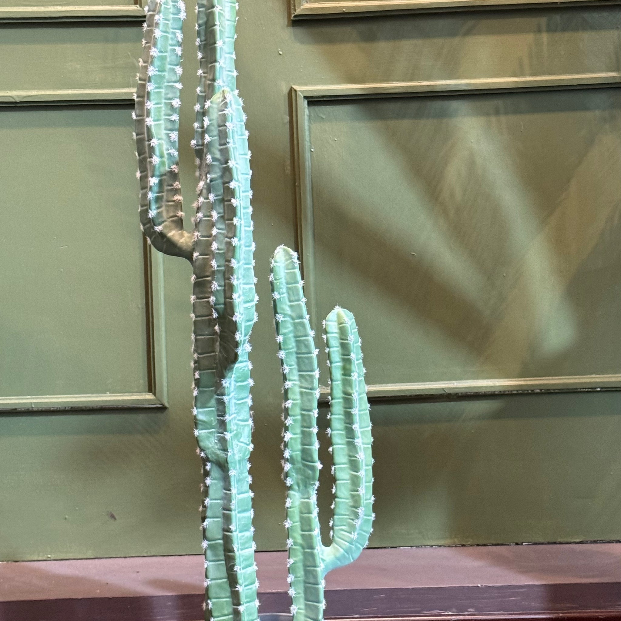 CACTUS CEREUS