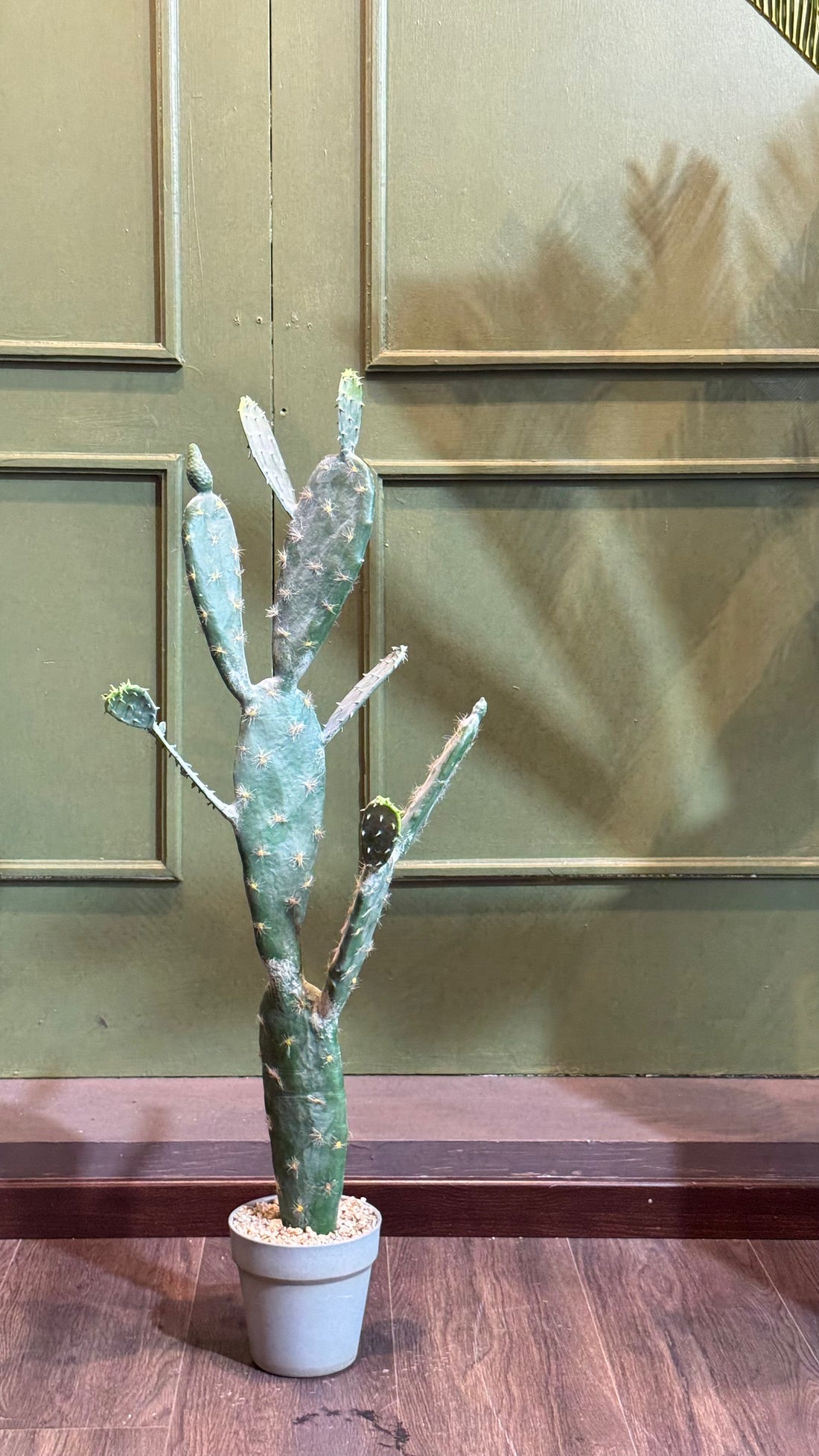 CACTUS 90