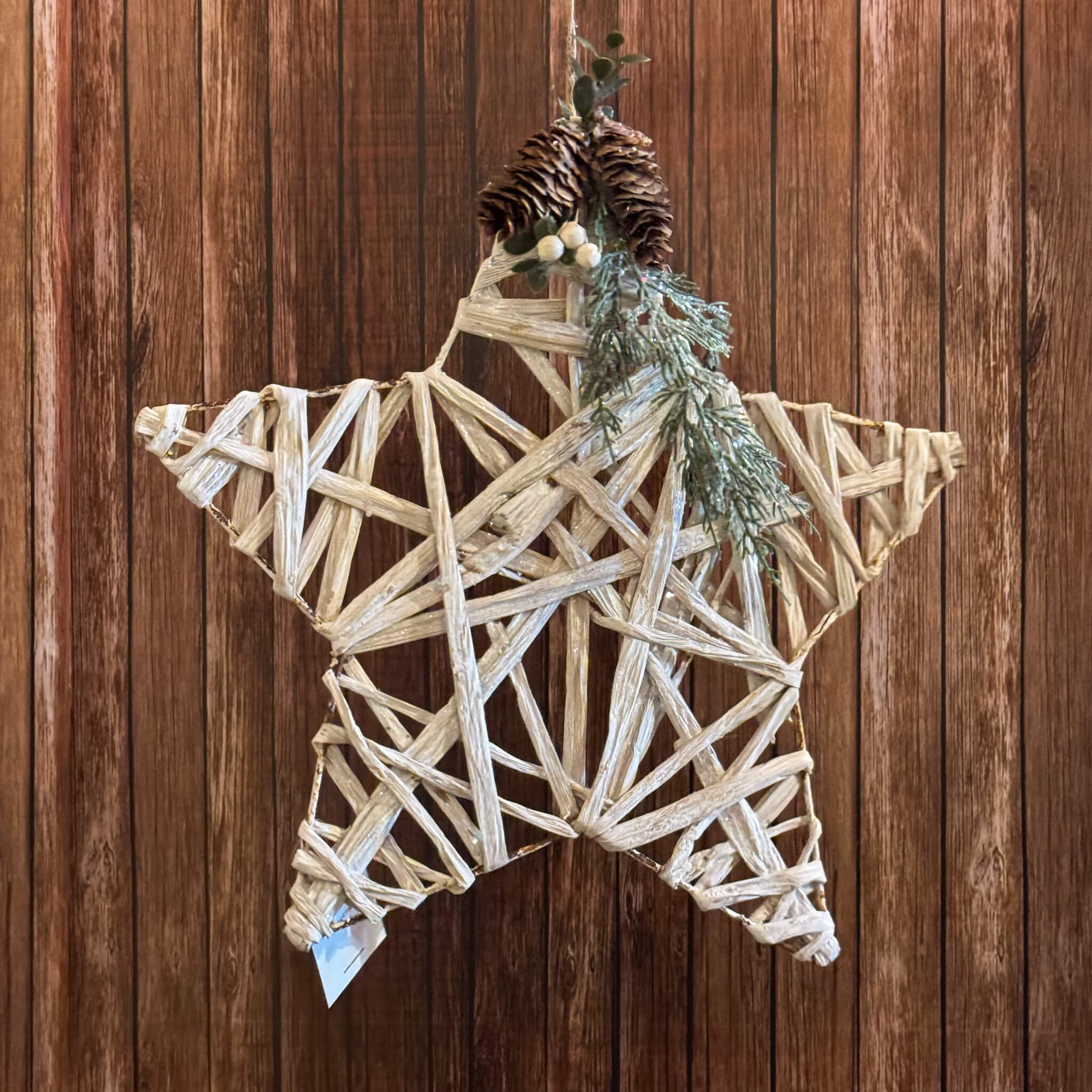 ESTRELLA PALMA DE 25 CM