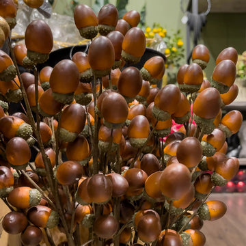 PICK DE BELLOTAS NATURAL