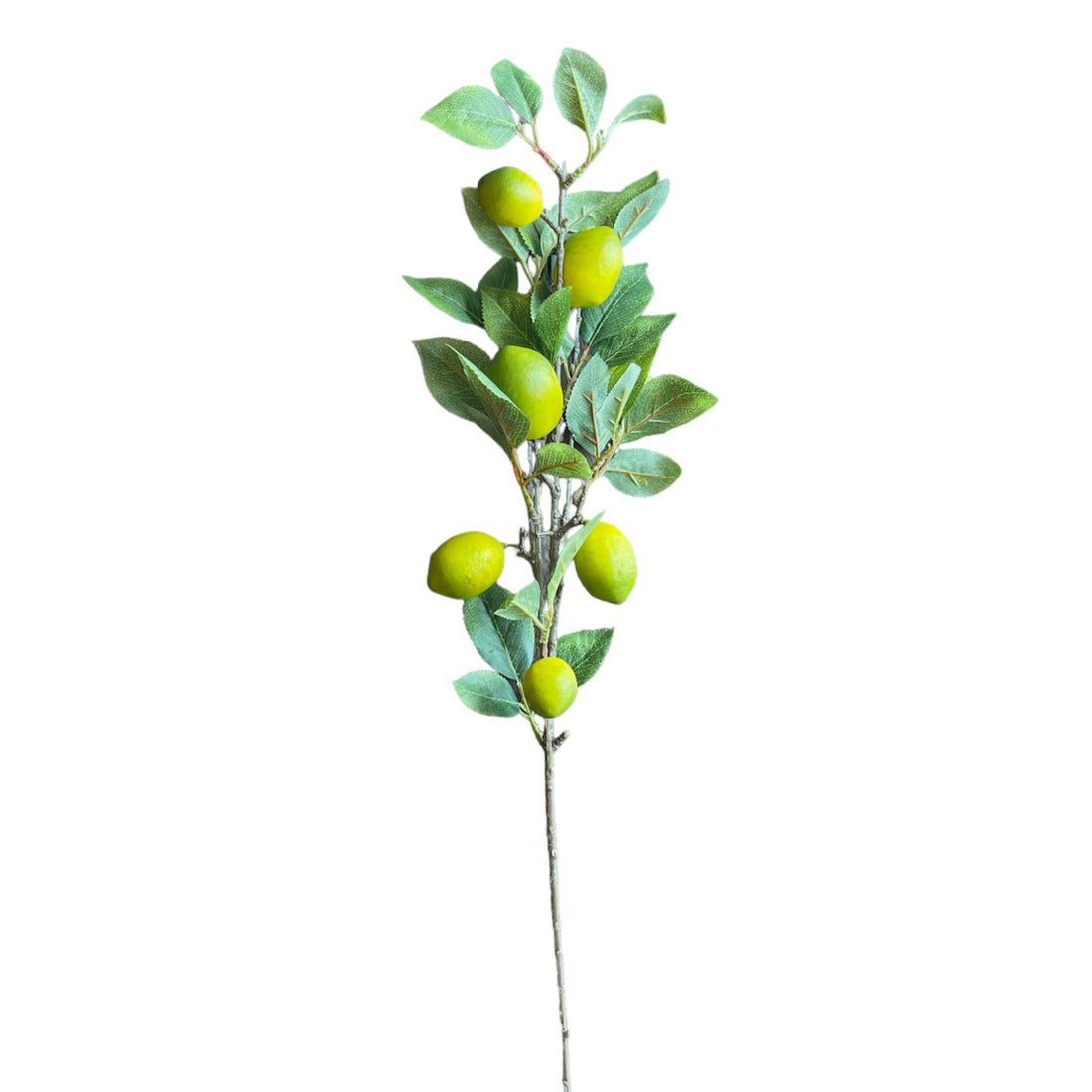 VARA DE LIMON VERDE