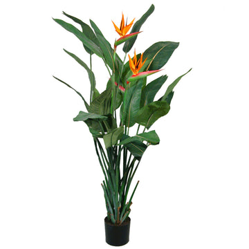 MACETA FLOR AVE DEL PARAÍSO A135